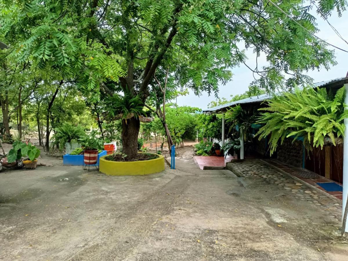 Hostal Sol De Verano Dona Lilia Villavieja Ngoại thất bức ảnh